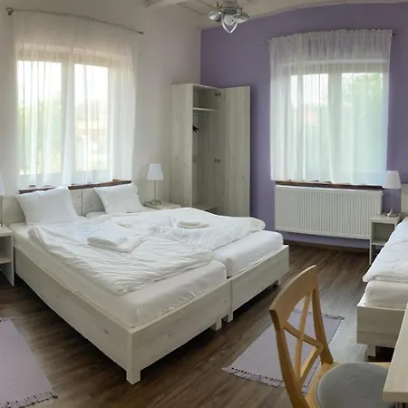 Mezovegi Vendeghaz *