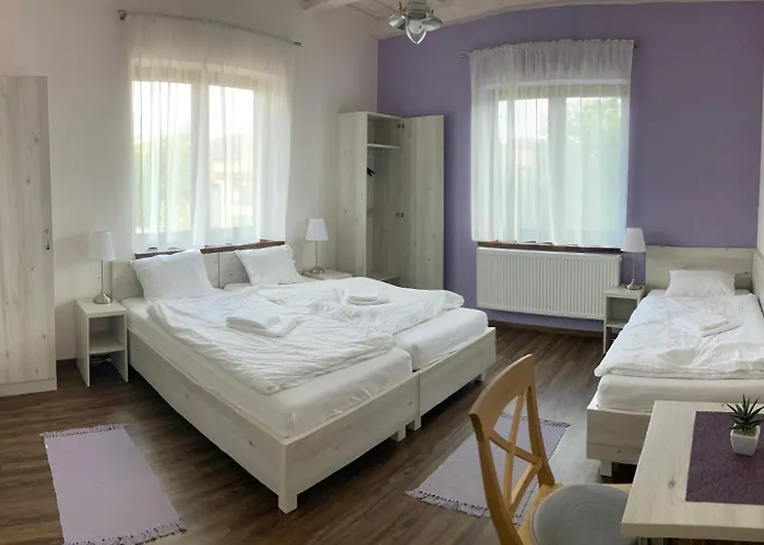 Mezovegi Vendeghaz *